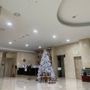 제주 서쪽 협재 한림 가성비 숙소 주니어스위트 트윈룸 라온호텔 리조트