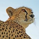 눈이야기 이미지