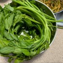 양화농장 이미지