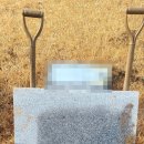 순천장의사