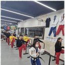 기품태권도 이미지