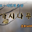 조성모 가시나무 입니다 이미지