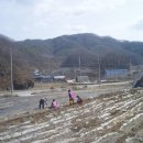 향-고향의 봄 이미지