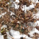 재용목장 이미지