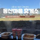 블루25 진성점 이미지