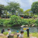 솜반내(솜반천) 이미지