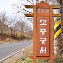 실안 노을길 이미지