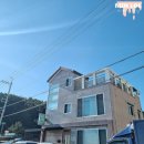 플로리다 대탄 이미지