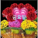 빵긋빵긋 이미지