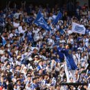 목터져라 이미지