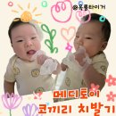 주먹고기 대신 메디토이 코끼리 손목치발기 가격, 장단점, 사용후기