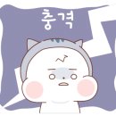 일퍼센트,일백퍼센트 이미지