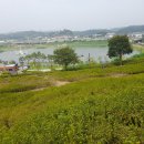 갯골생태공원 이미지