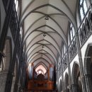 형제종축 | 알수록 더 성스러운 명동성당 (천주교 서울대교구 주교좌 명동대성당), 미사시간 안내