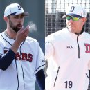 마야 카카오 검색결과