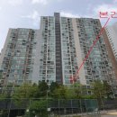 더포레스트 이미지