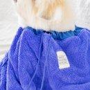 샤워하는 강아지 이미지