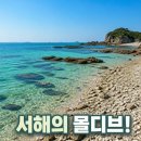 서해타이어 - 고창군 학전2길 8 | 태안 민어도 물때표 확인 필수! 서해의 몰디브 노지 차박 및 해루질 총정리