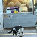 연무제일의원 | 한동안 놓고있었던 일상 블로그 이 틈에 한번 끄적여본다 .. 모든게 내돈 내산 내시간 내씀 후기 ….