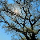 산림행정사사무소 이미지