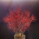 서울장식 이미지