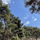 보리네숲어린이집 이미지