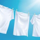 대아세탁 이미지