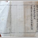 수은 김충한선생 가장(樹隱 金沖漢先生 家狀)