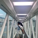 한누리게임 | 한누리여행사 • 허니문 • 이탈리아 • 카타르 항공 이코노미 후기 (in 로마)