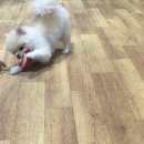 웨이브노래연습장 이미지