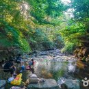 칠곡 가산산성 아래 숨겨진 청정 구역 금화계곡 물놀이 피서 이미지