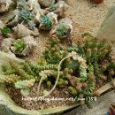 샤론농장 이미지