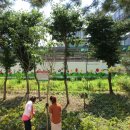 무지개 동산 이미지