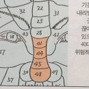 가로주름