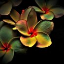 백운-e배움터 이미지