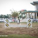 용인씨씨승마클럽