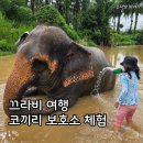 Sanctuary | 태국 여행, 끄라비 코끼리 보호소 먹이주기 목욕 체험 후기(Elephant Sanctuary)