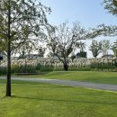 그린 팜파스 이미지