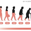 네이처 영농조합법인 | 속 더부룩할때 소화효소제 먹고 속이 달라졌어요, 진도강황영농조합법인 후기