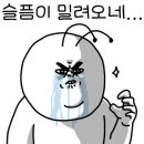 핀트리(Pin tree) 네이버블로그