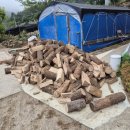 무릉도원면-3 이미지