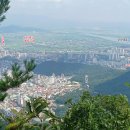 선산대로-82 이미지