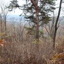 덕고개농장 이미지