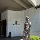 블랙이쉬레드 | 제주 서쪽 카페| 제주 경마장 근처 | 숲뷰가 예쁜 블랙이쉬레드 밀크티 후기