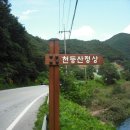 천등산주유소 이미지