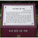 탑동 5층석탑 이미지