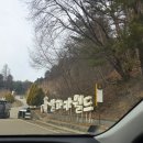 꿈벌사슴목장 | 초등 아이와 홍천 알파카월드 다녀온 후기 ! 너무 재밌어요 알파카 월드 !!