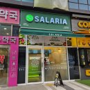샐러리아숭의