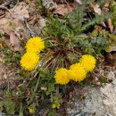 연악보건진료소 이미지