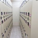 서울학원 | 서울 펫푸드 학원, 상담 받고 온 후기!!